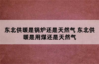 东北供暖是锅炉还是天然气 东北供暖是用煤还是天然气